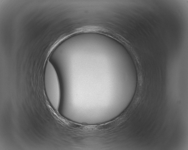 X0000086081473200703231036