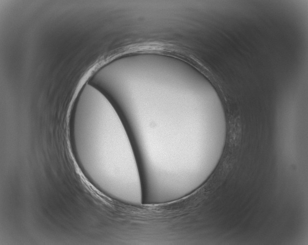 X0000086081475200703231036