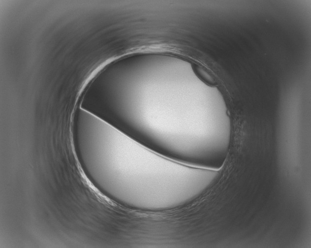 X0000086081476200703231036