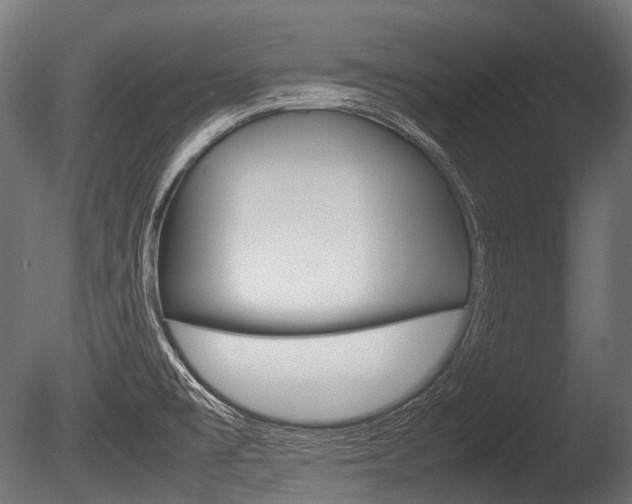 X0000086081477200703231036
