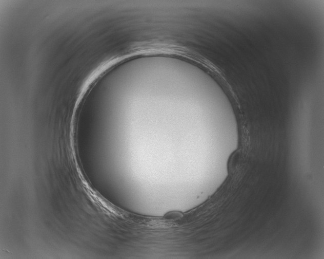 X0000086081480200703231036