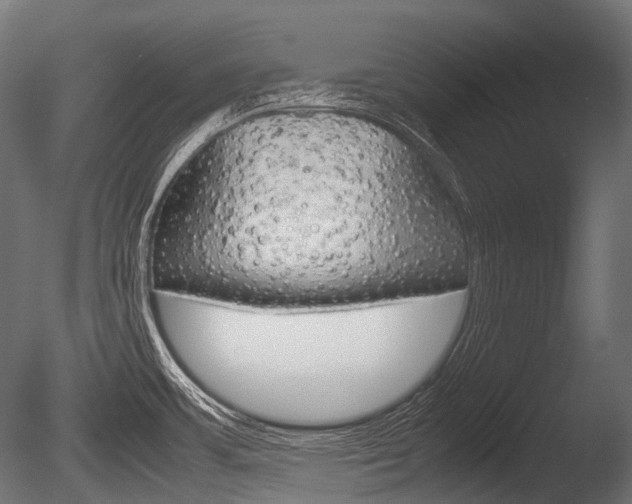 X0000086081483200703231036