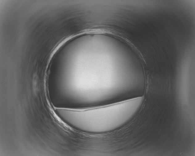 X0000086081484200703231036