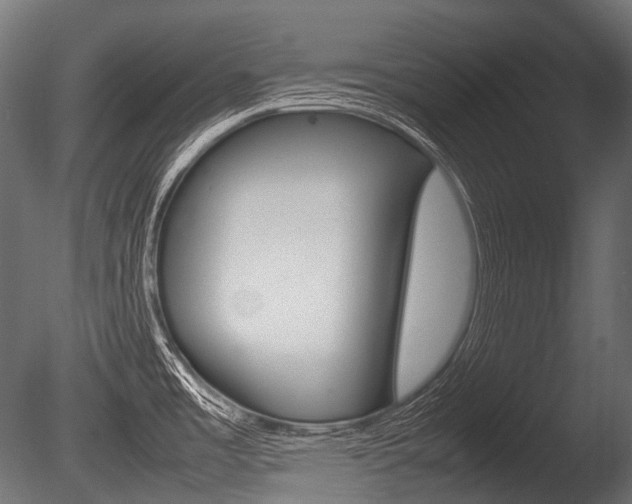 X0000086081485200703231036