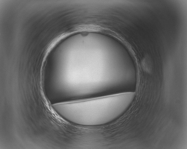 X0000086081488200703231036