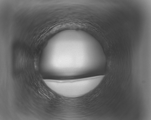 X0000086081490200703231035