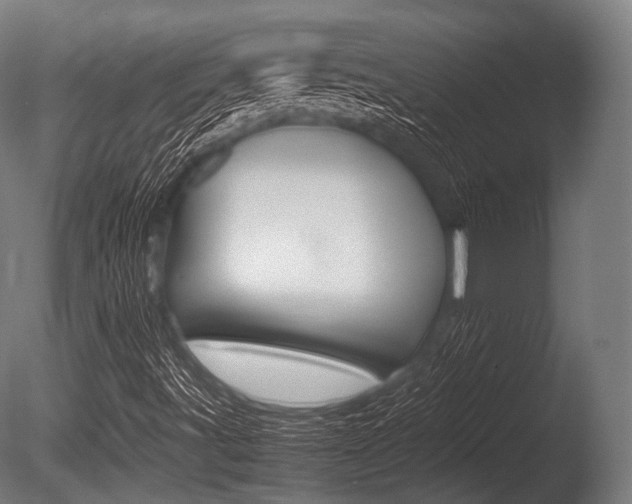 X0000086081491200703231035
