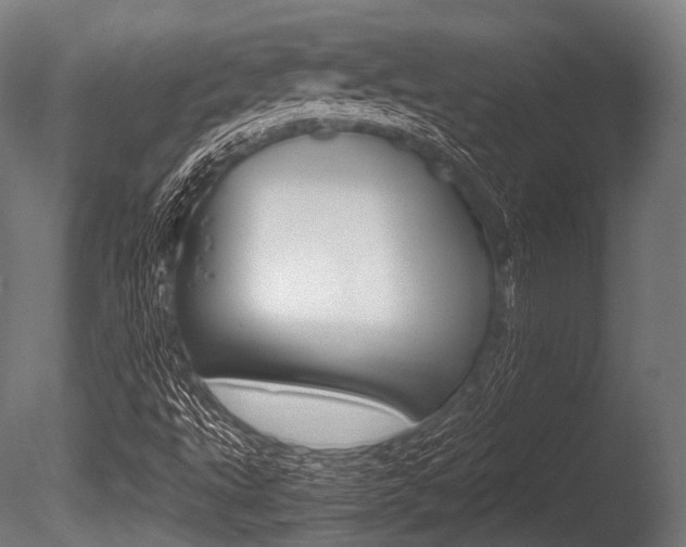 X0000086081495200703231035