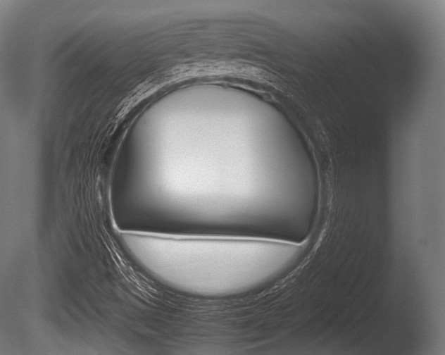 X0000086081497200703231036