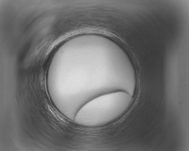 X0000086081498200703231036