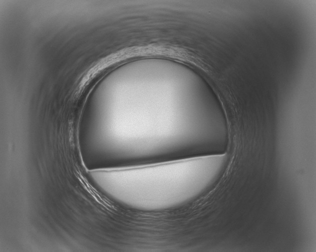 X0000086081499200703231036