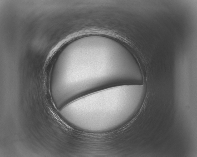 X0000086081502200703231036