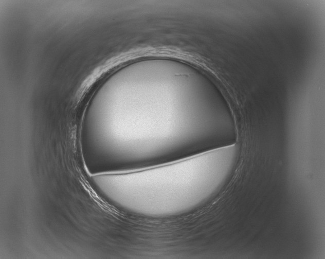 X0000086081503200703231036
