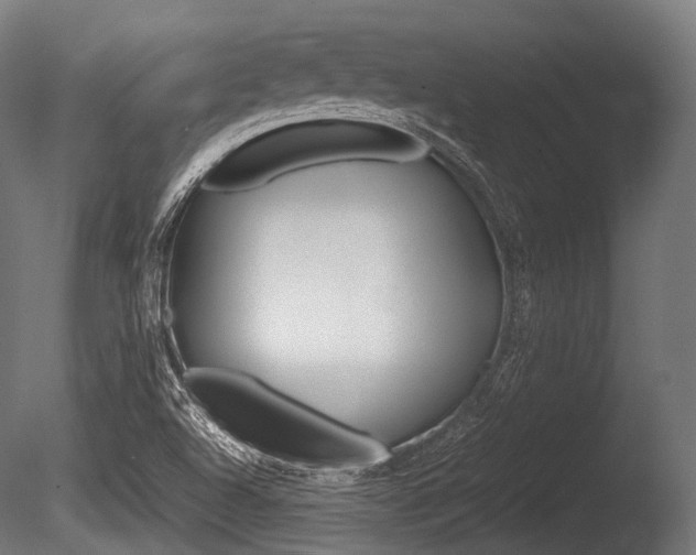 X0000086081504200703231036