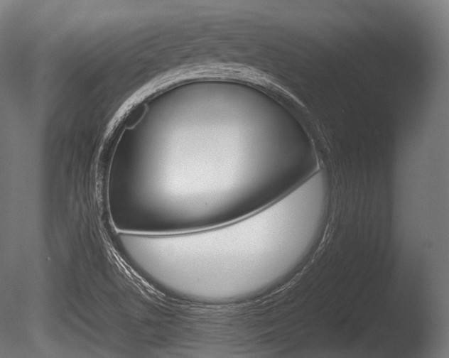 X0000086081506200703231036