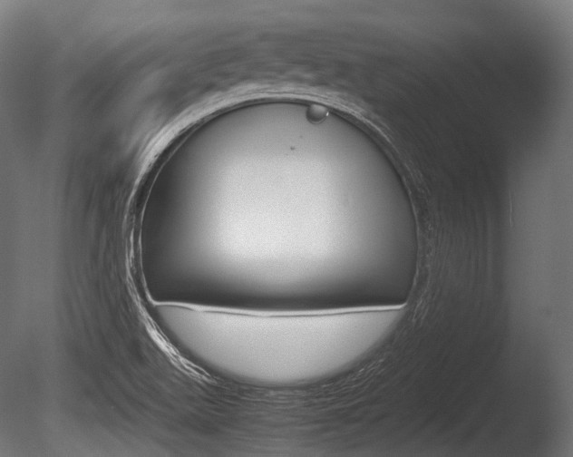X0000086081511200703231036