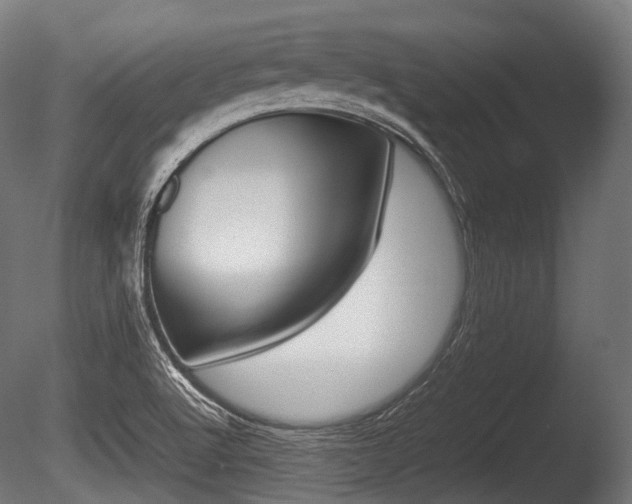 X0000086081512200703231036