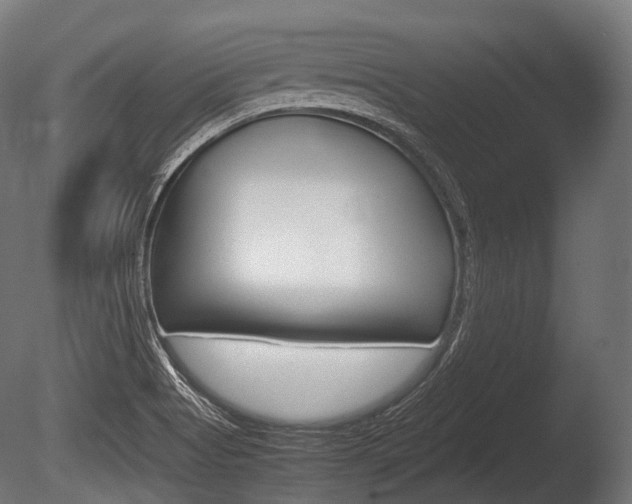 X0000086081513200703231036