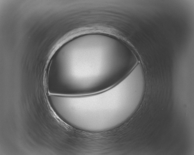 X0000086081516200703231036