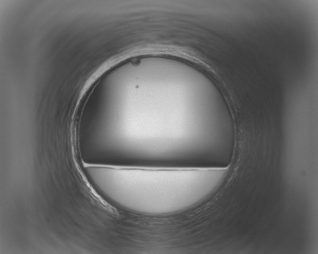 X0000086081517200703231036