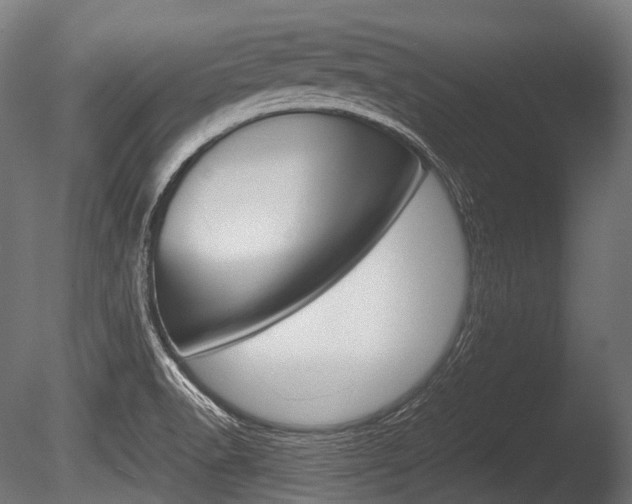 X0000086081518200703231036