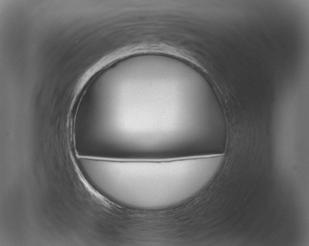 X0000086081519200703231036