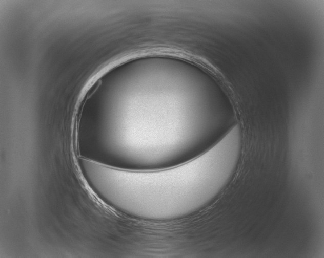X0000086081520200703231036