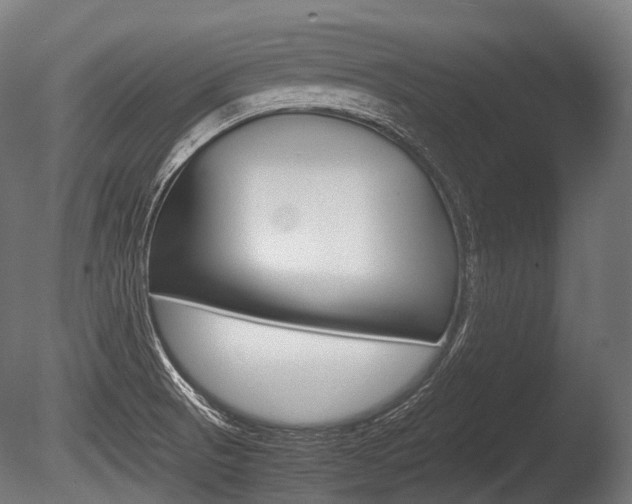 X0000086081521200703231036