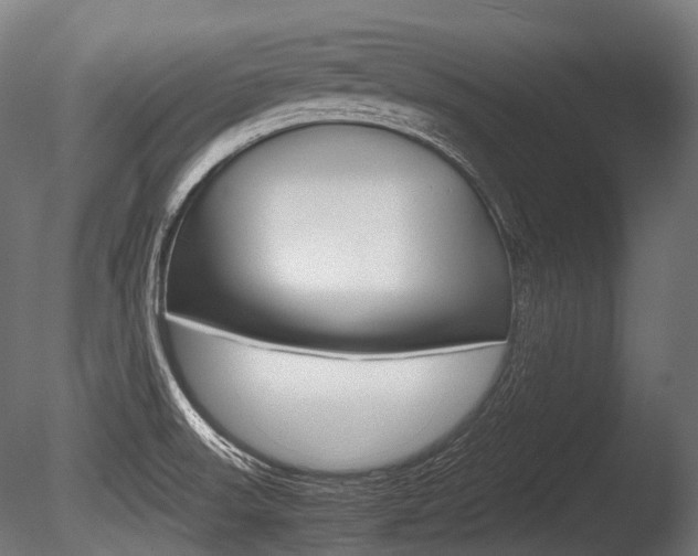 X0000086081523200703231036