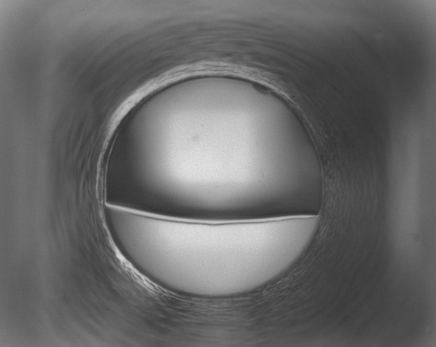 X0000086081527200703231036