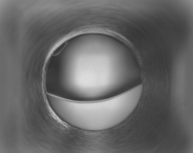 X0000086081528200703231036
