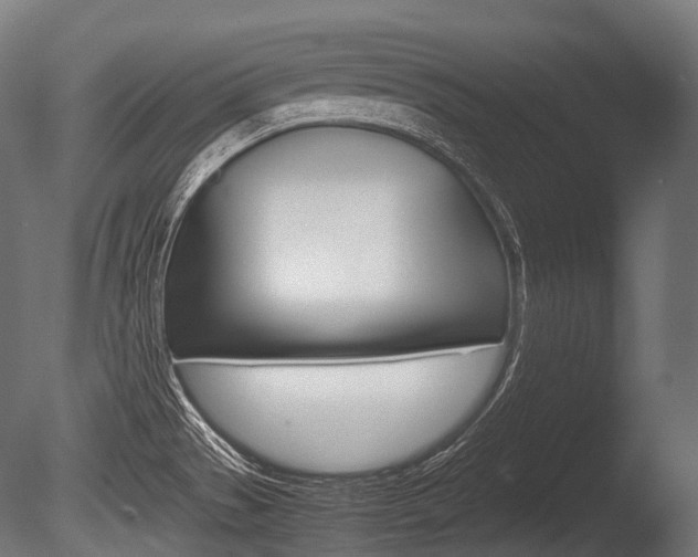 X0000086081529200703231036