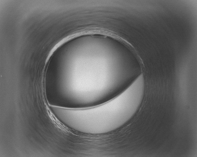 X0000086081530200703231036