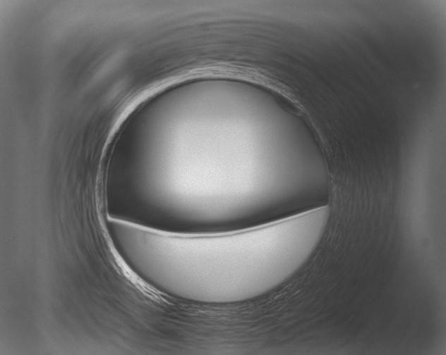 X0000086081531200703231036