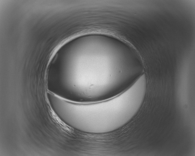 X0000086081532200703231036
