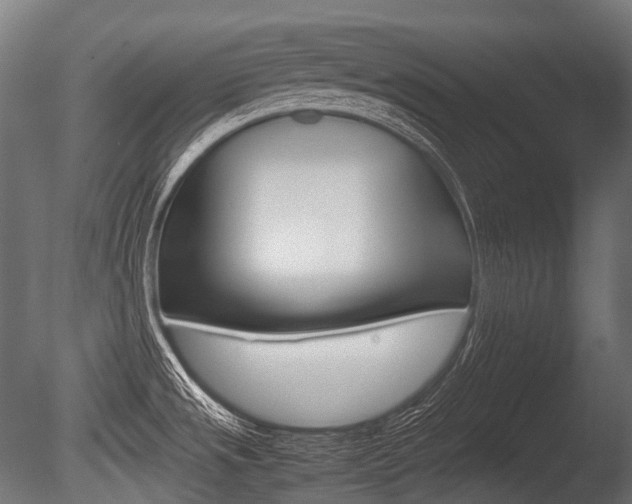 X0000086081533200703231036