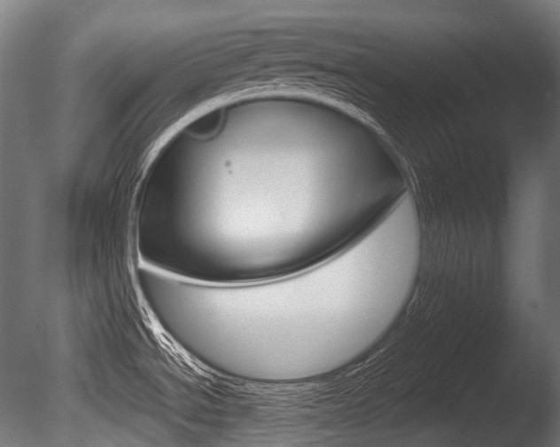 X0000086081534200703231036
