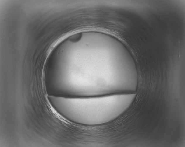 X0000086081535200703231036