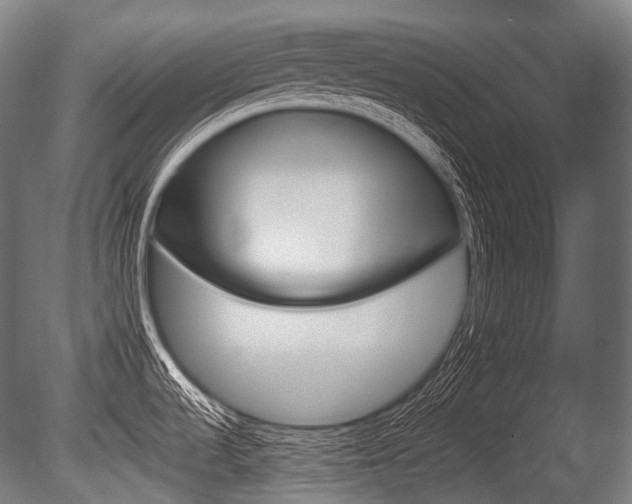X0000086081536200703231036