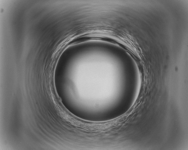 X0000086080001200703231416