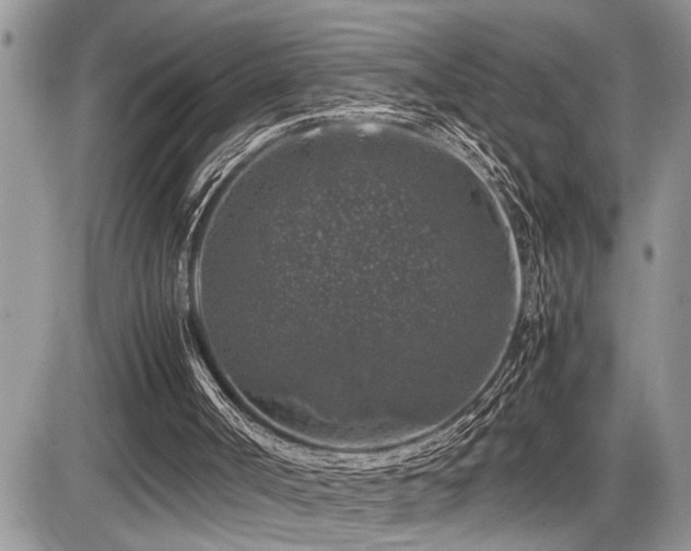 X0000086080002200703231416