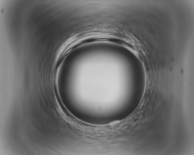 X0000086080003200703231416