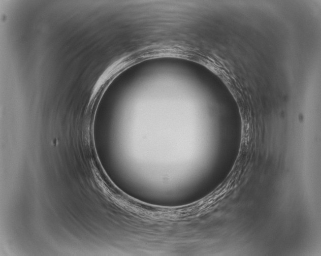 X0000086080004200703231416