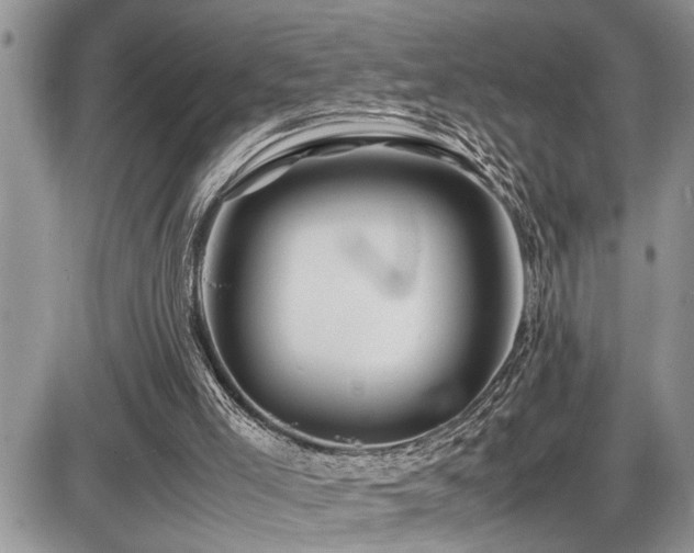 X0000086080005200703231416