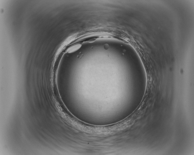 X0000086080006200703231416