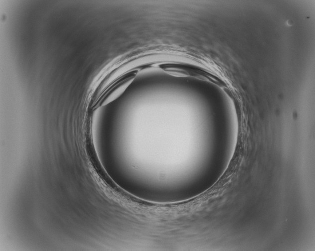 X0000086080007200703231416