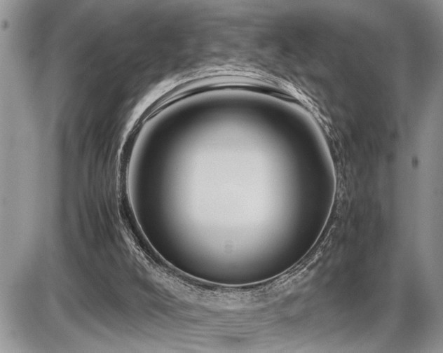 X0000086080008200703231416