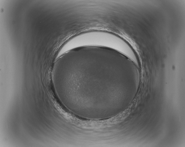 X0000086080009200703231416