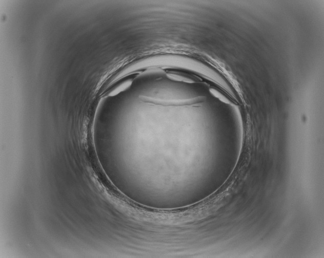 X0000086080010200703231416