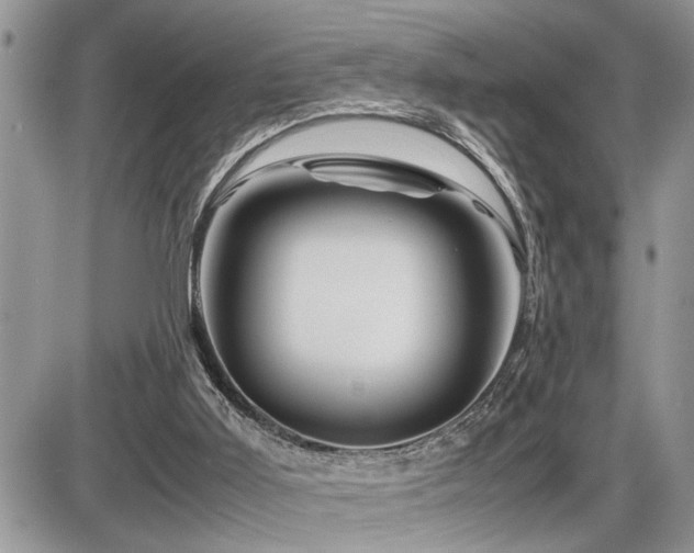 X0000086080011200703231416